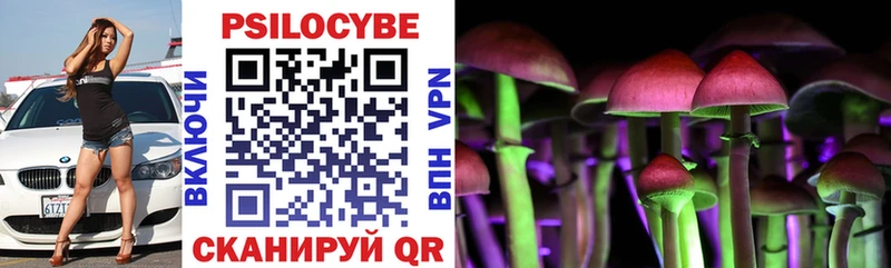 Галлюциногенные грибы ЛСД Горно-Алтайск