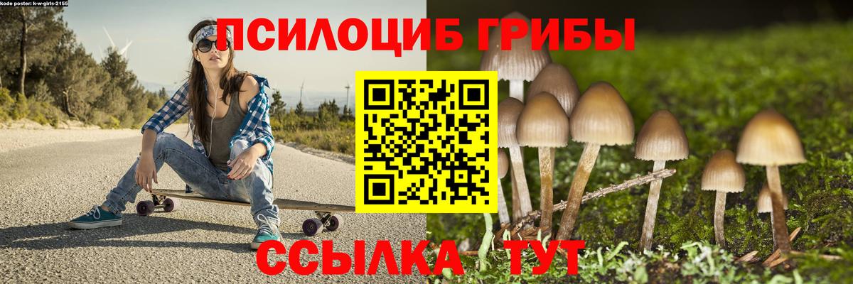 дарнет шоп  Вход с VPN  Горно-Алтайск  Псилоцибиновые грибы прущие грибы 