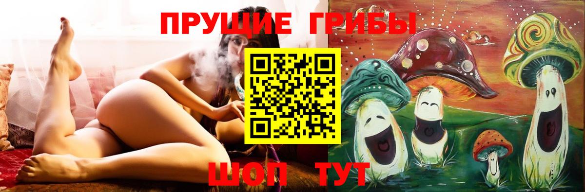 Псилоцибиновые грибы Cubensis Горно-Алтайск